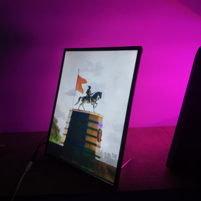 Shivaji Raje Led Frame