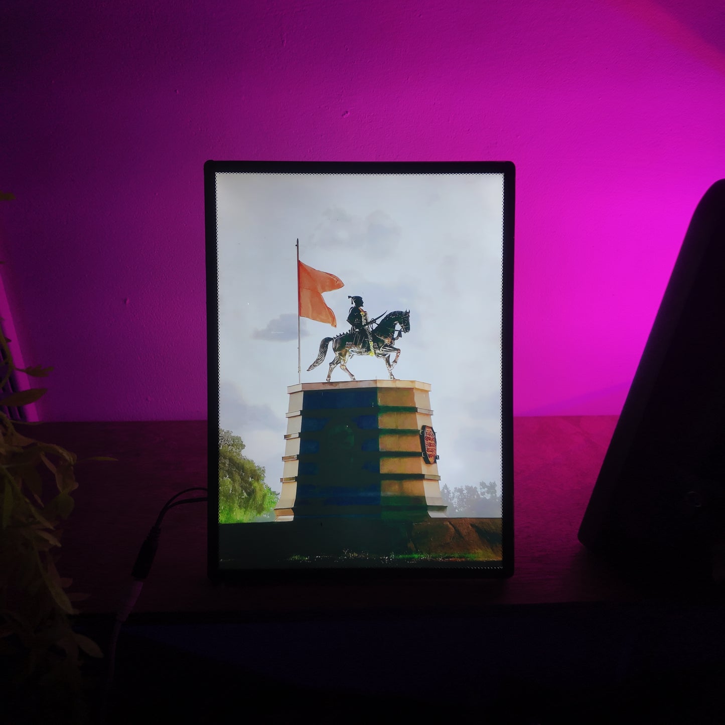 Shivaji Raje Led Frame