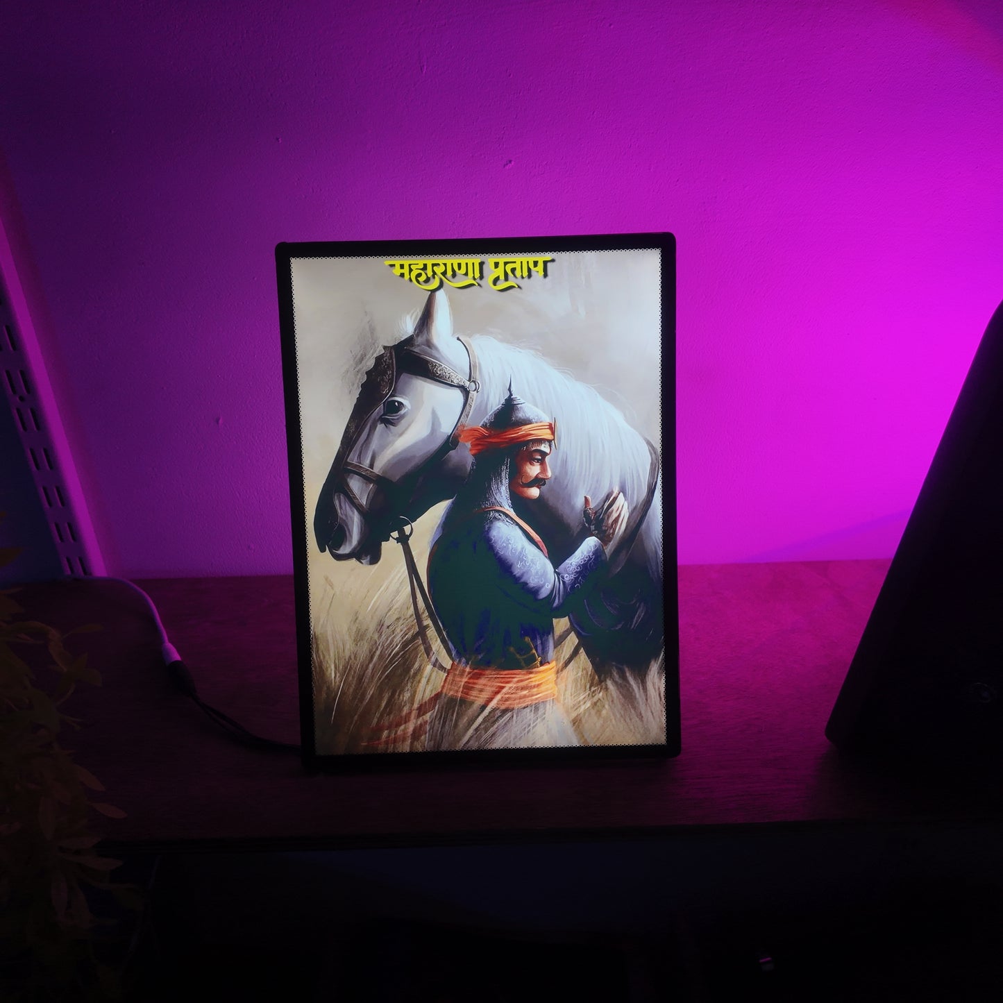 Maharana Pratap LED Frames