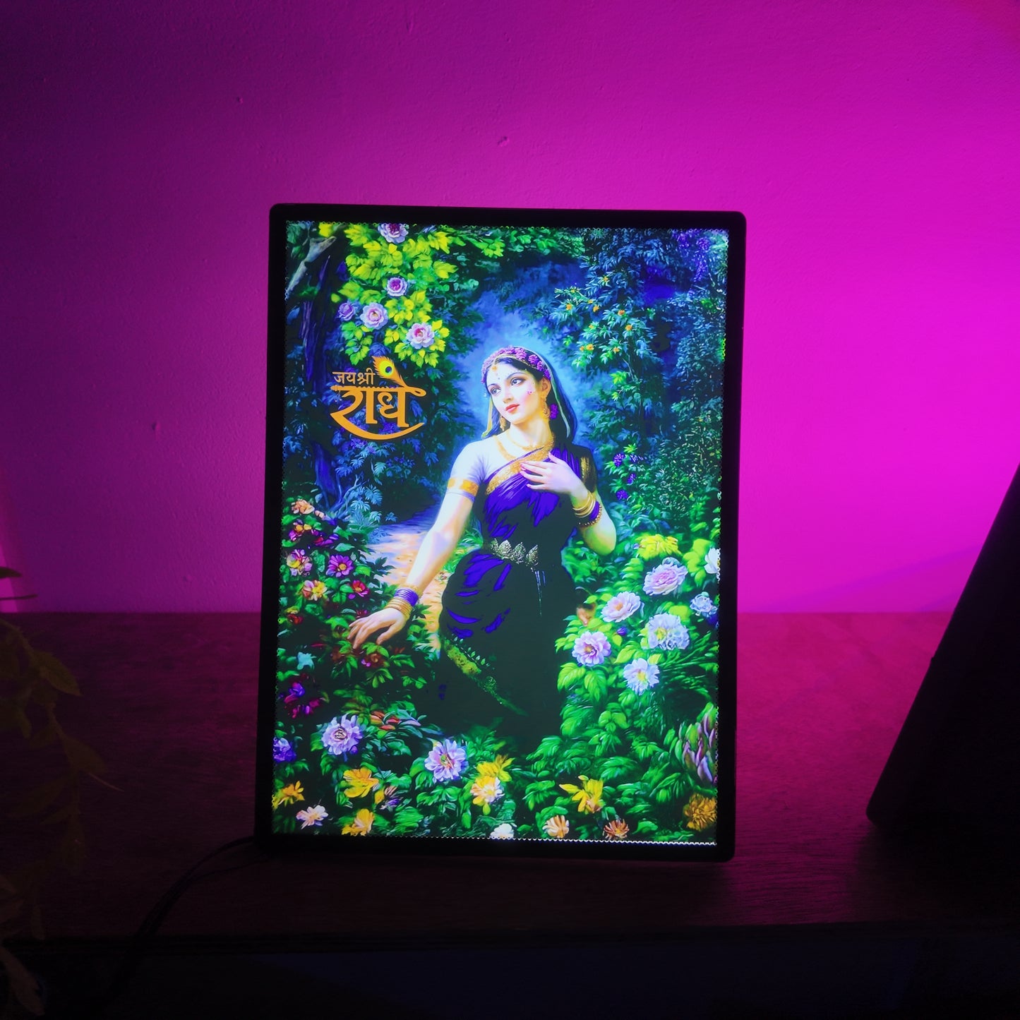 Radha Rani LED Frame